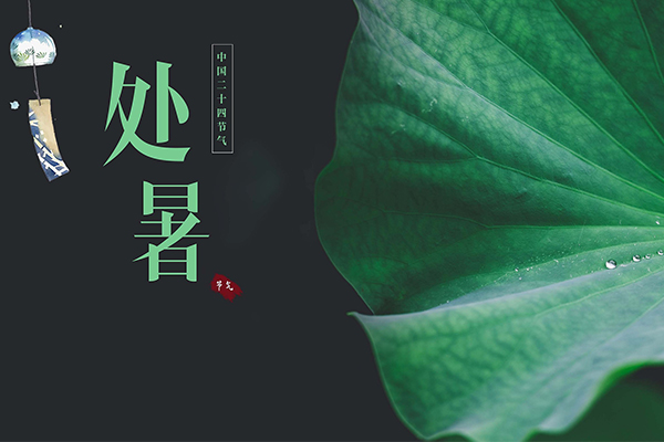 W | ÿһ|Lĉ